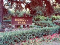 014Bidwellpark.jpg