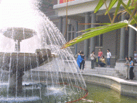7.gif
