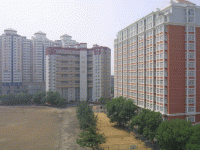 6.gif