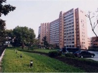 .a9.jpg