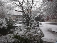 Snow_Day.jpg