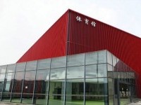 D1.JPG